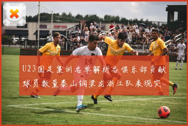 U23国足集训名单解析各俱乐部贡献球员数量泰山铜梁龙浙江队表现突出