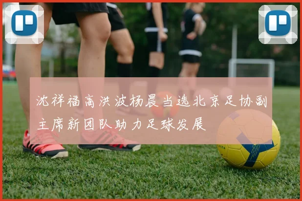 沈祥福高洪波杨晨当选北京足协副主席新团队助力足球发展